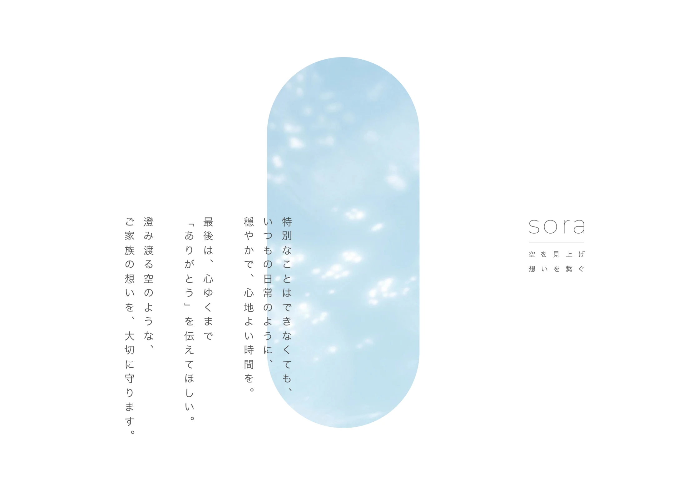 株式会社sora会社案内パンフレットのブランドコンセプト誌面