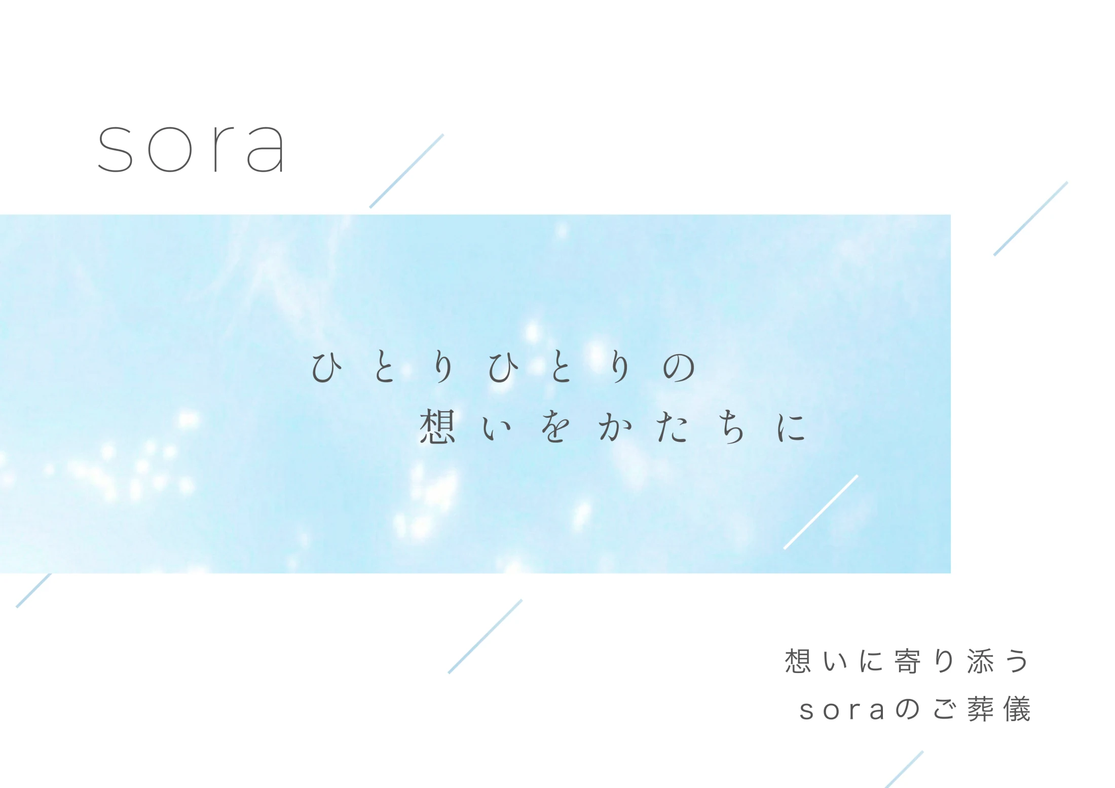 株式会社sora会社案内パンフレットの表紙